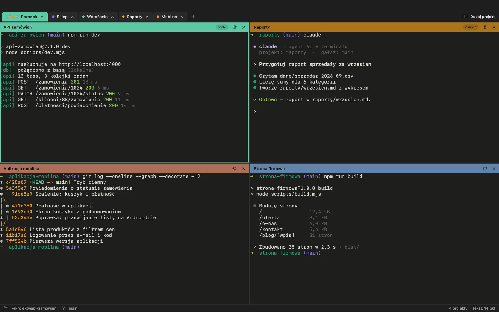 Terminal Manager — kolorowe projekty i panele na Macu
